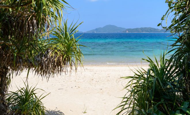 離島医療を志す医療人の育成に力をいれている鹿児島大学の取り組み 離島医療情報ネットワーク