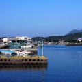 日本で最も美しい村〜小値賀島の魅力と医療